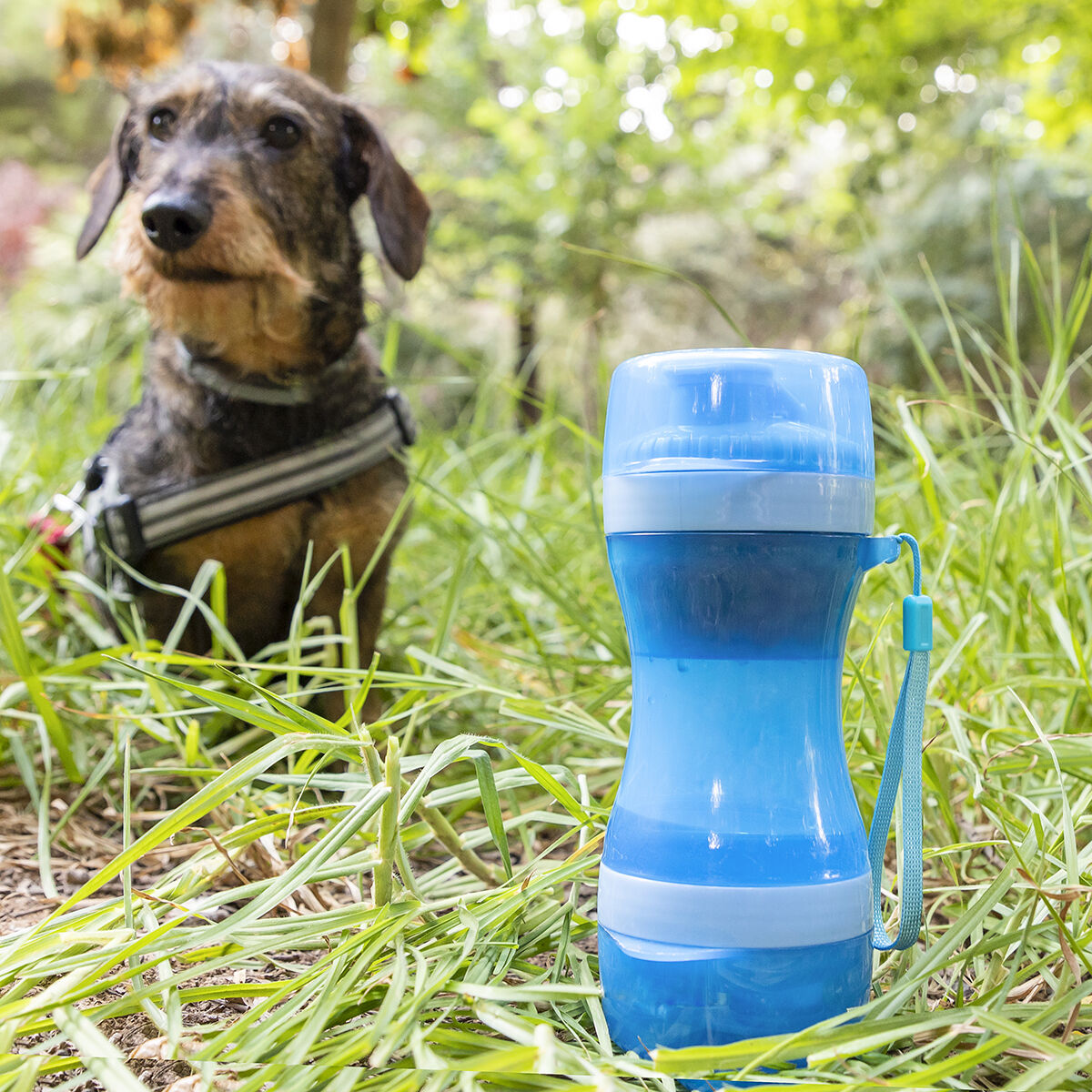 2 in 1 - Flasche mit Wasser- und Futterbehälter für Haustiere Pettap InnovaGoods - Shop Hammer 