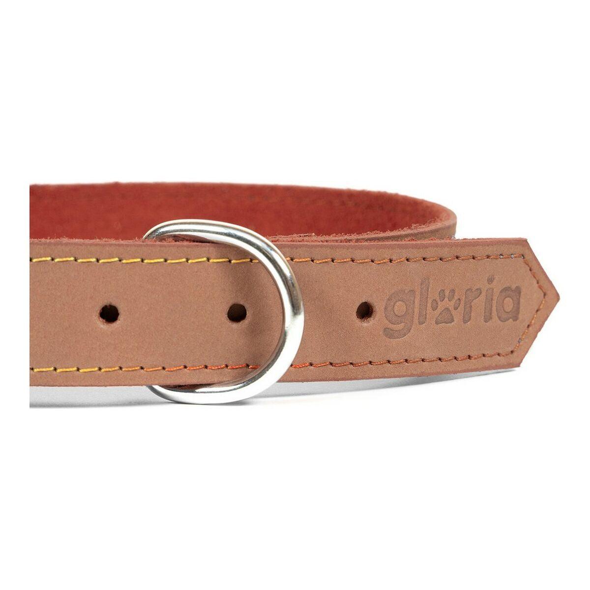 Hundehalsband Gloria Oasis 45cm Braun (45 x 1,8 cm) - Shop Hammer 