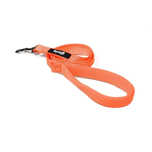 Hundeleine Gloria Orange S - Shop Hammer 